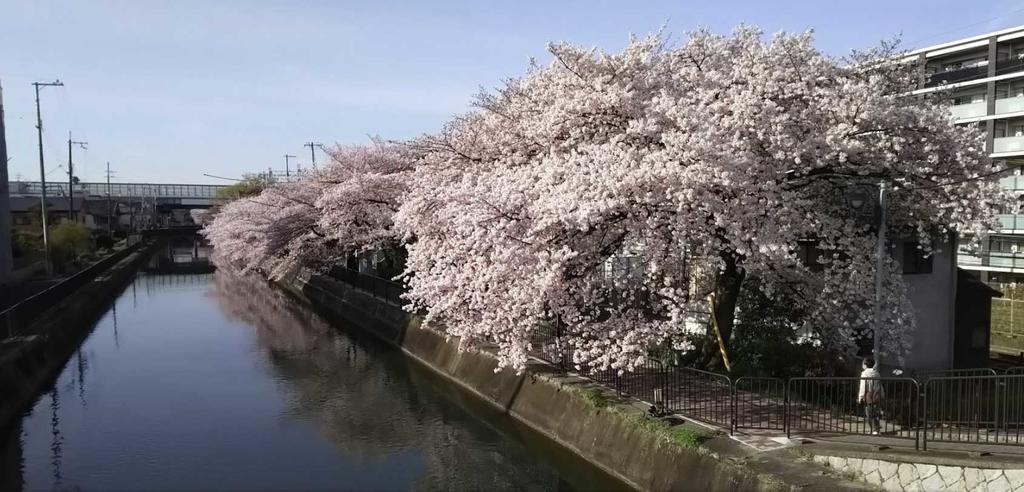 Aya Kyoto